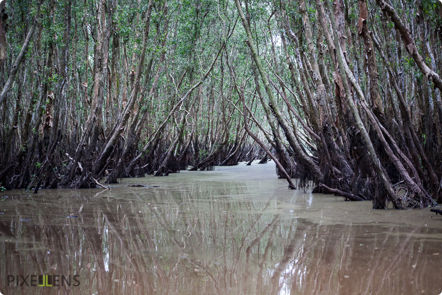 Pixellens-Vietnam-Delta-Mekong (8)