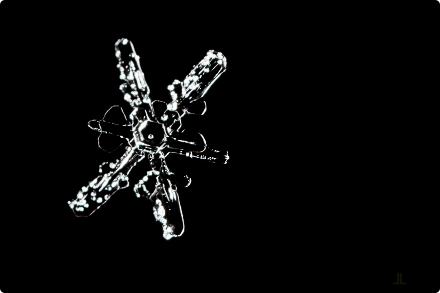 Pixellens-macrophotographie-cristaux-glace (4)
